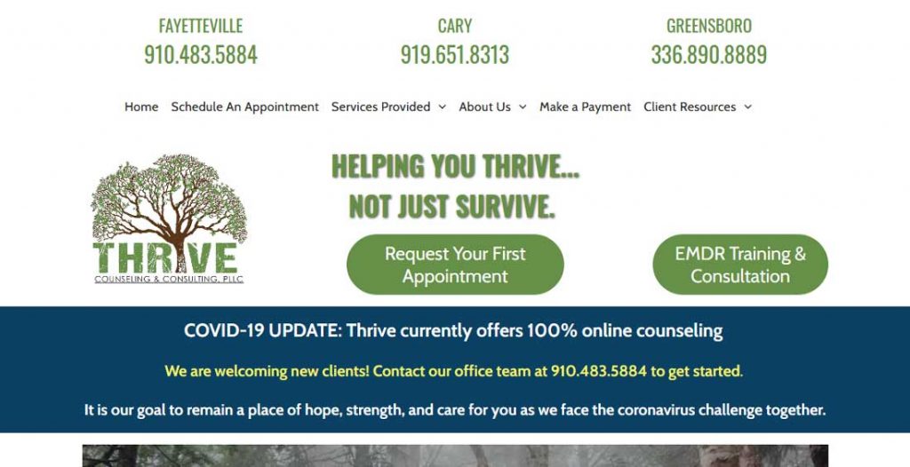 Thrive-Counseling-and-Consulting